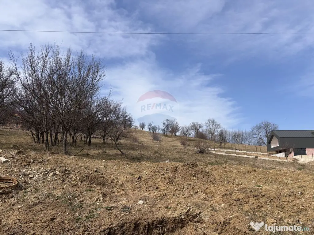 Teren 1,697mp Cisnadioara / Strada Silvicultorilor 