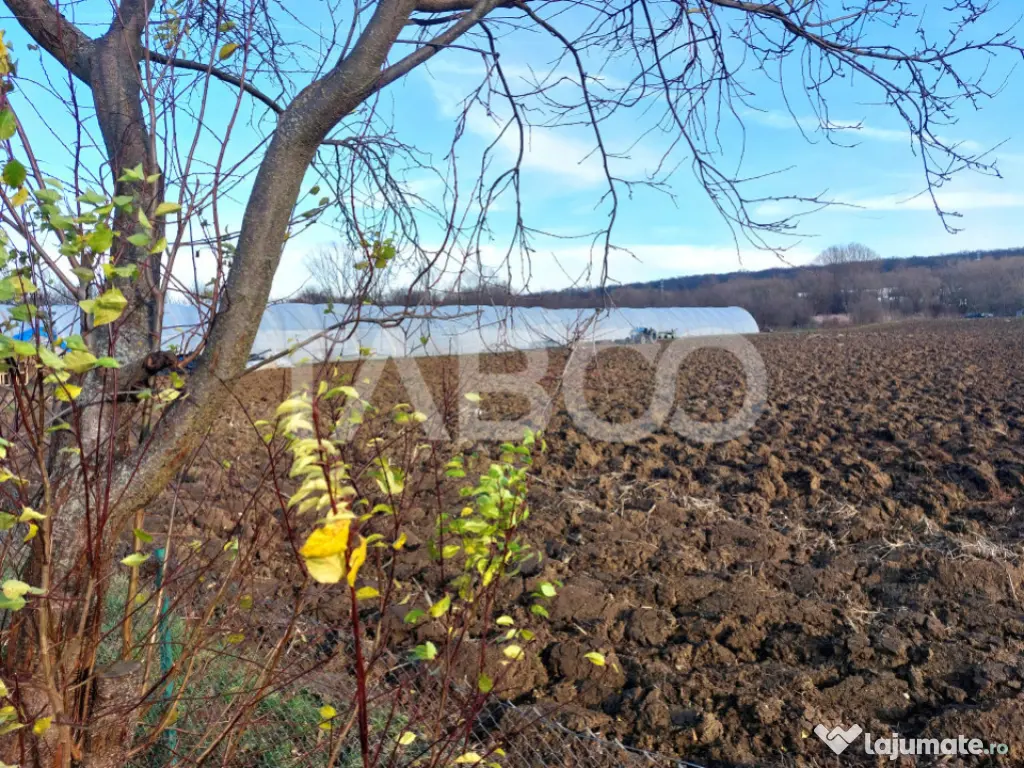 Teren intravilan 1687 mp pentru cabana zona de gradini Cisna