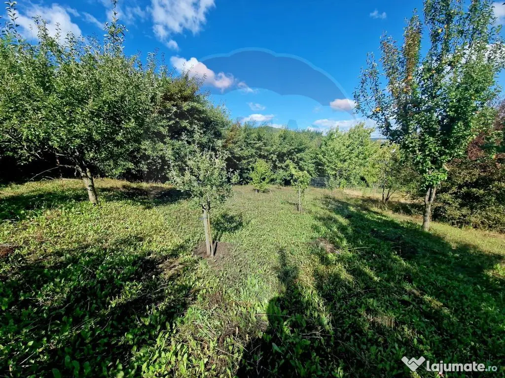 Teren 1,000mp Piatra-Neamt / Strada Pietrelor