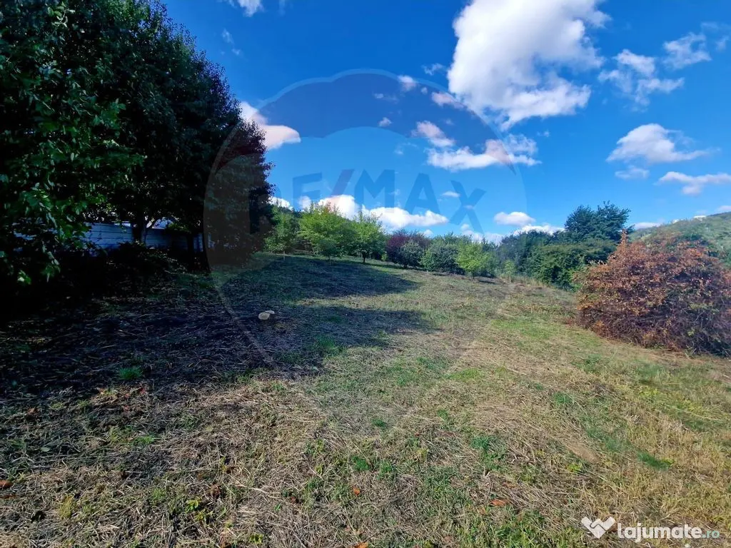 Teren 1,000mp Piatra-Neamt / Strada Pietrelor