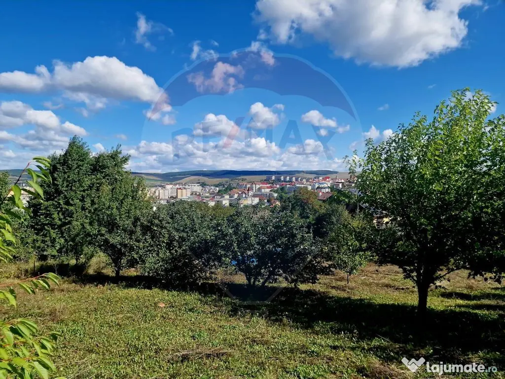 Teren 1,000mp Piatra-Neamt / Strada Pietrelor