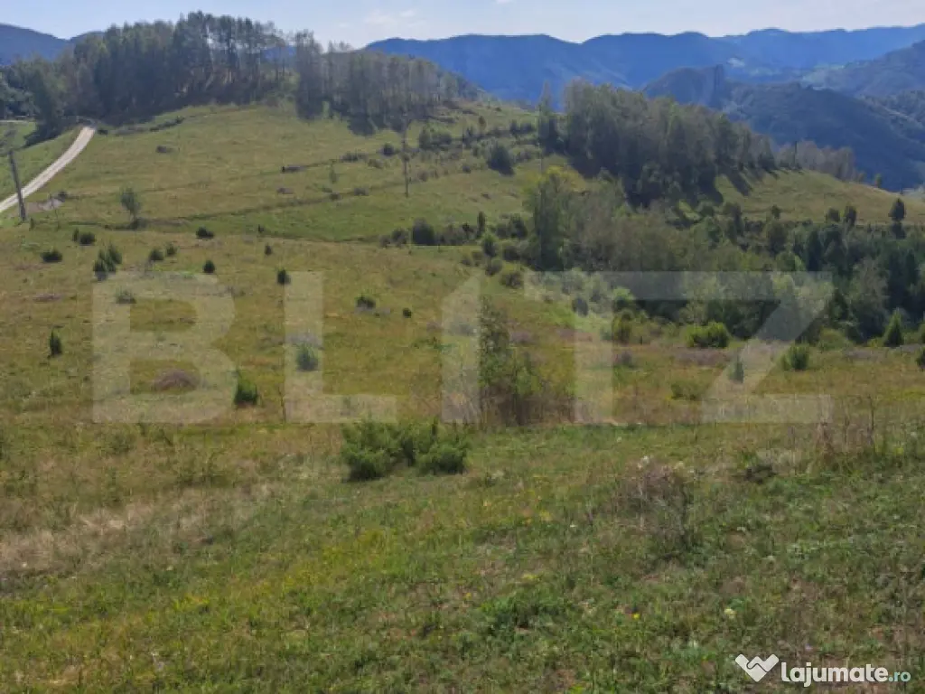 Teren extravilan 4.604 mp cu curent – ideal pentru cabană