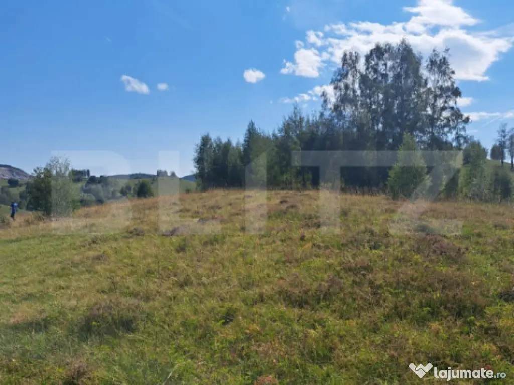 Teren extravilan 4.604 mp cu curent – ideal pentru cabană