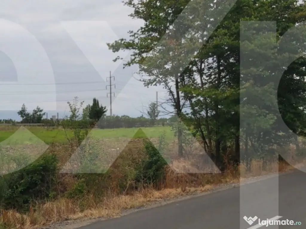 Teren intravilan 4.800 mp – lângă Autostrada Pitești - 