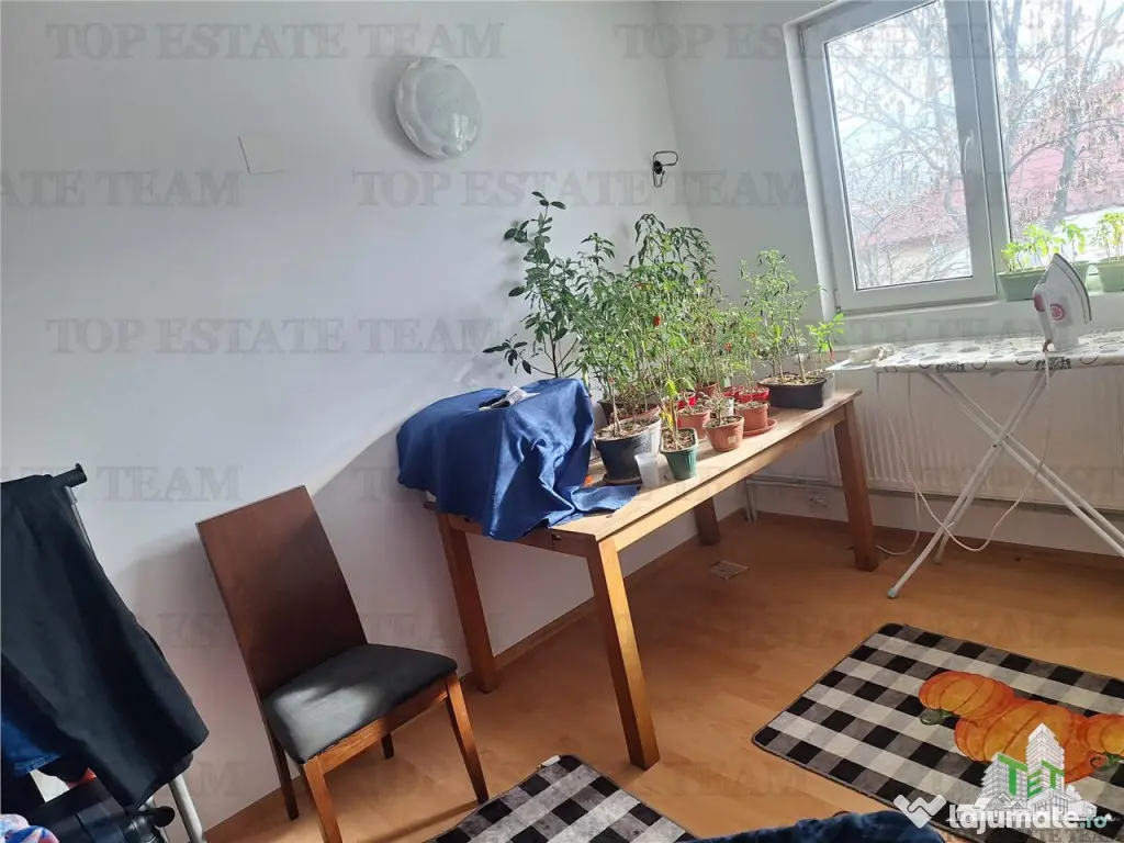 Casa individuala cu teren 182mp in Colentina, intr-o strada 