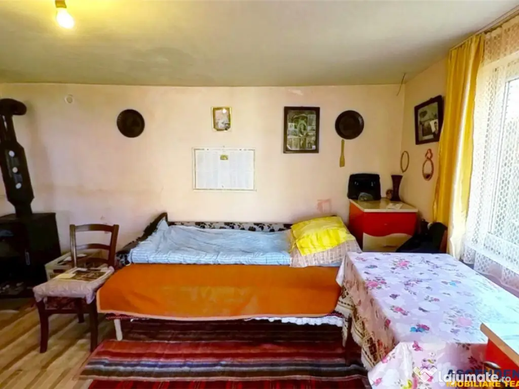 TUR 3D! Locuinta traditionala 4300 mp teren,pomicultura,an 