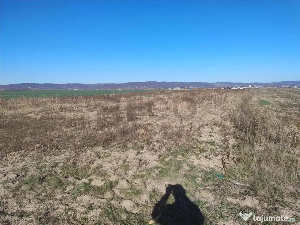 RECO Teren extravilan, centura Cheriu