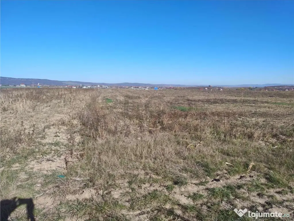 RECO Teren extravilan, centura Cheriu 