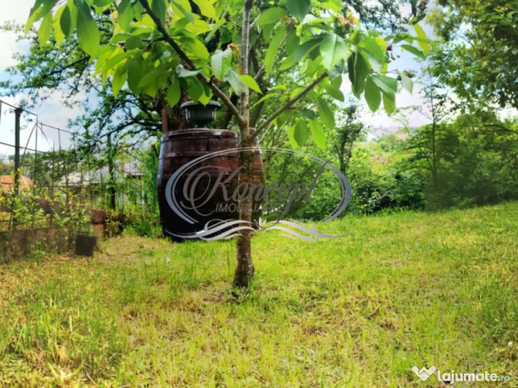 Apartament cu gradina si atmosfera boema, zona Semicentrala