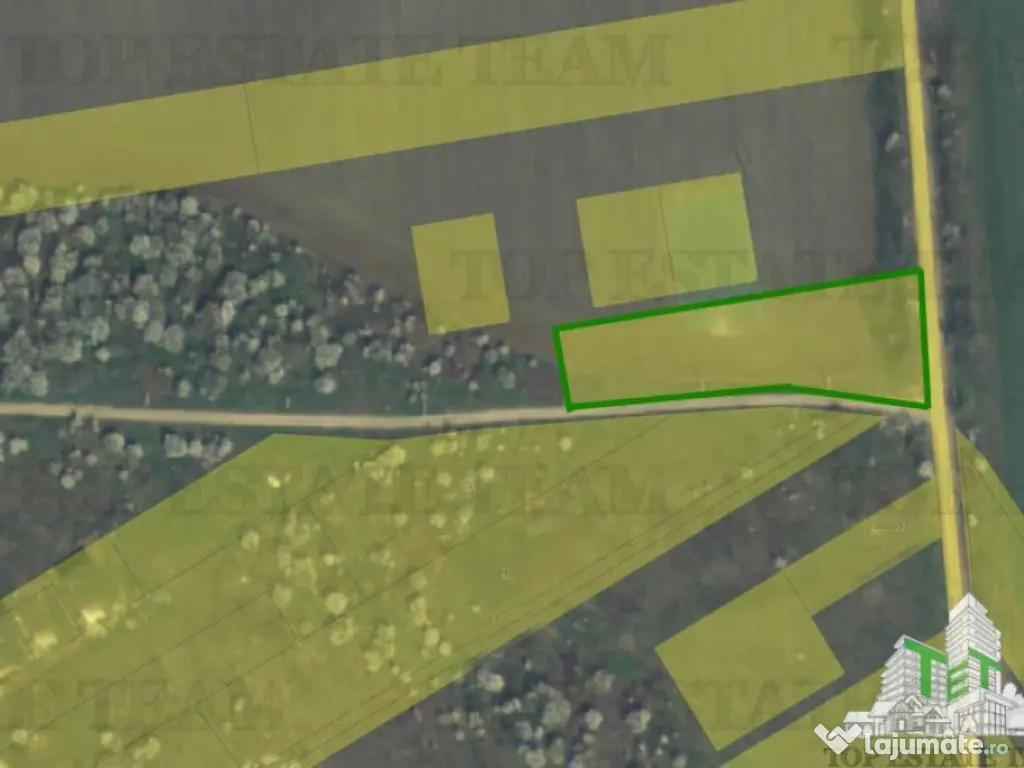 Teren Intravilan pentru constructie, 3000mp, Branesti, Ilfov 