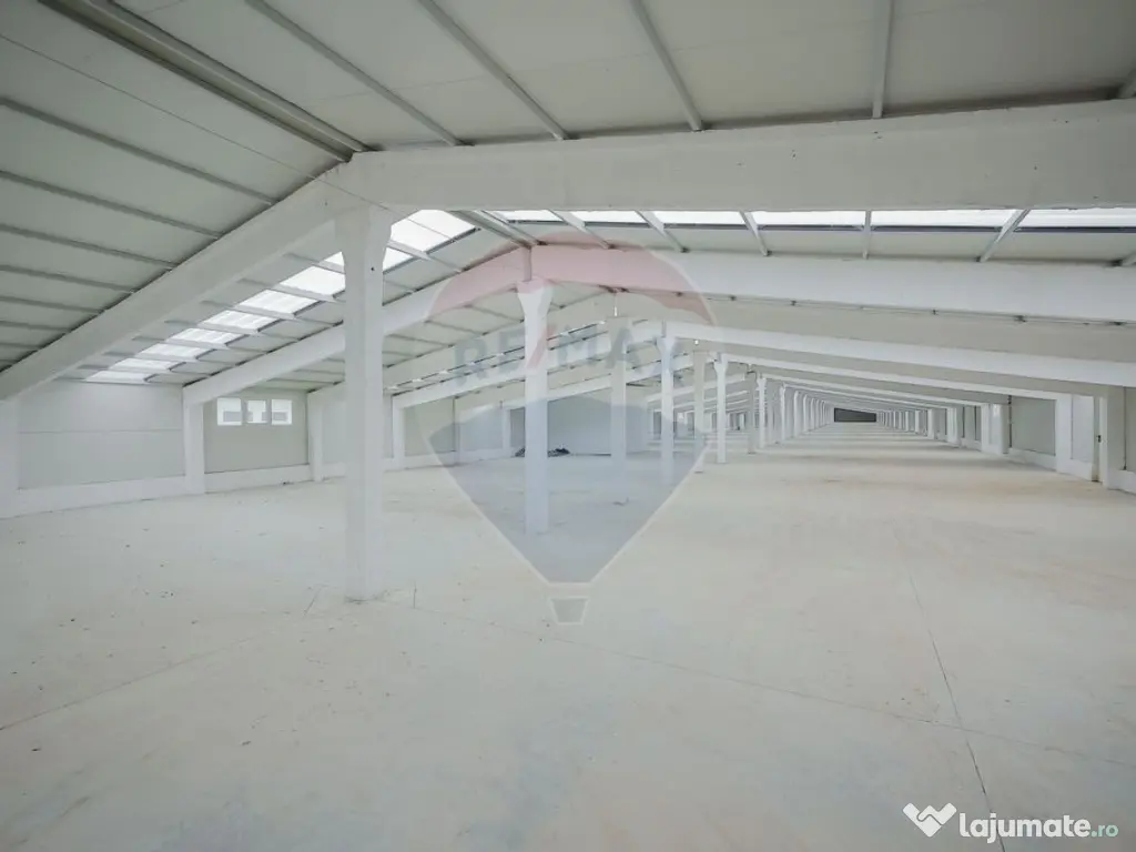 De vânzare – 2 hale industriale, 5.050 mp utili, Palota 