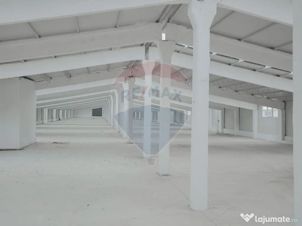 De vânzare – 2 hale industriale, 5.050 mp utili, Palota 