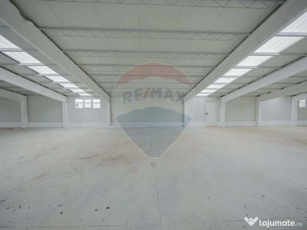 De vânzare – 2 hale industriale, 5.050 mp utili, Palota 