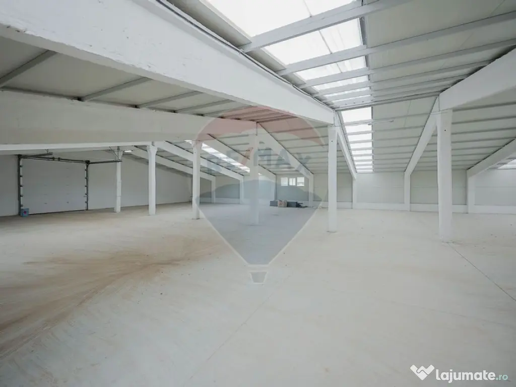 De vânzare – 2 hale industriale, 5.050 mp utili, Palota 