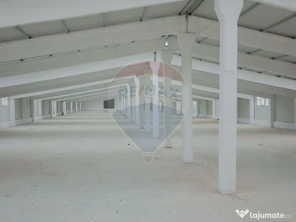 De vânzare – 2 hale industriale, 5.050 mp utili, Palota 