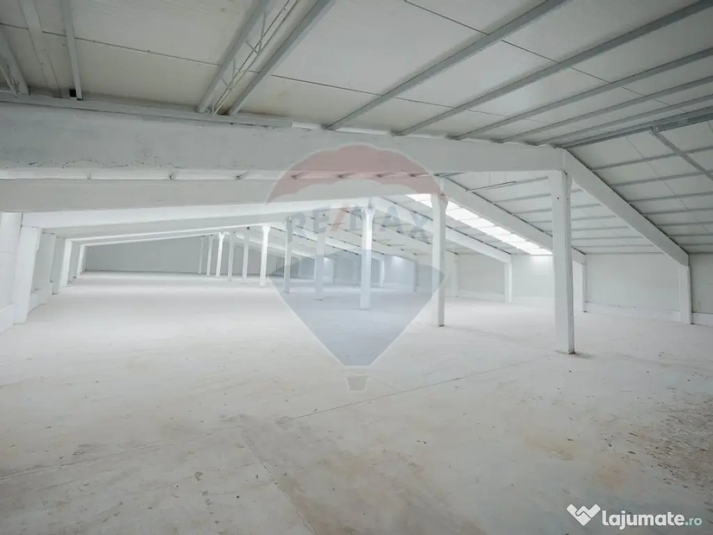 De vânzare – 2 hale industriale, 5.050 mp utili, Palota 