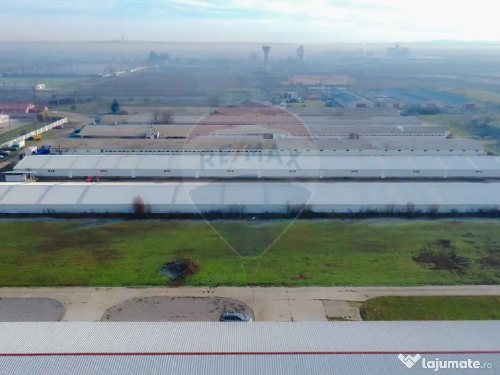De vânzare – 2 hale industriale, 5.050 mp utili, Palota 