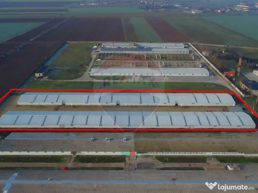 De vânzare – 2 hale industriale, 5.050 mp utili, Palota 