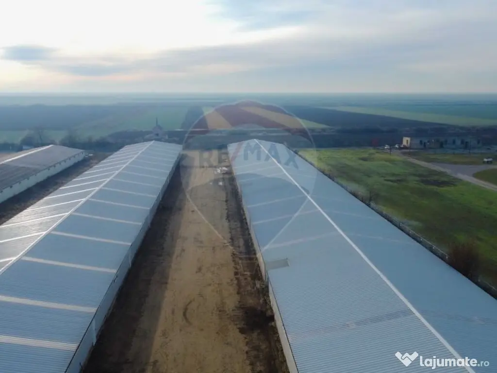 De vânzare – 2 hale industriale, 5.050 mp utili, Palota 