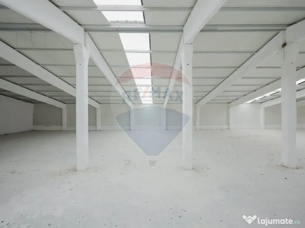 De vânzare – 2 hale industriale, 5.050 mp utili, Palota 