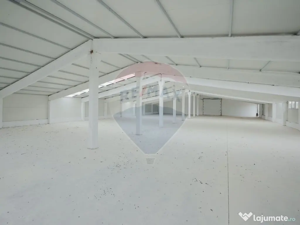 De vânzare – 2 hale industriale, 5.050 mp utili, Palota 
