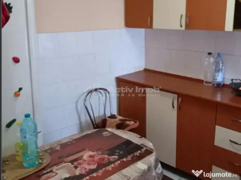 2 cam - la curte comuna 