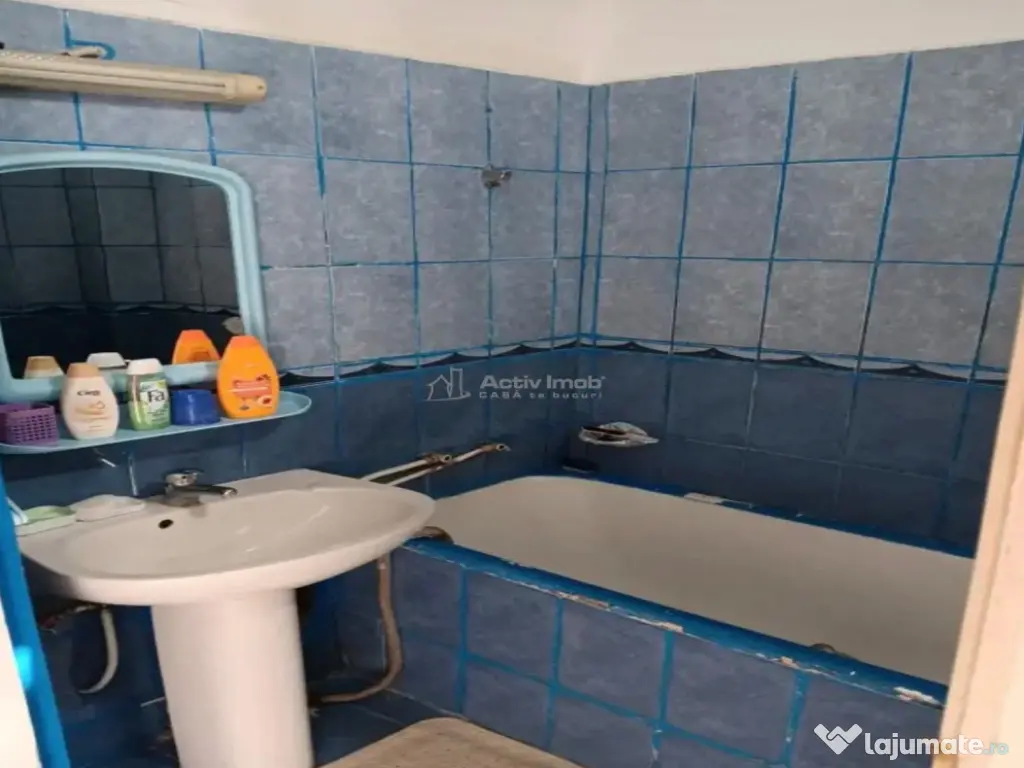 2 cam - la curte comuna 