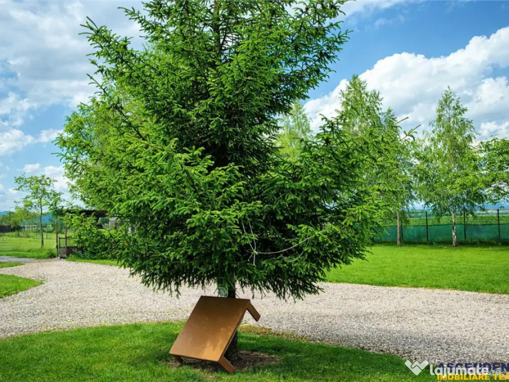 Film! Afacere la cheie -Camping amenajat, Rasnov - Glajerie 