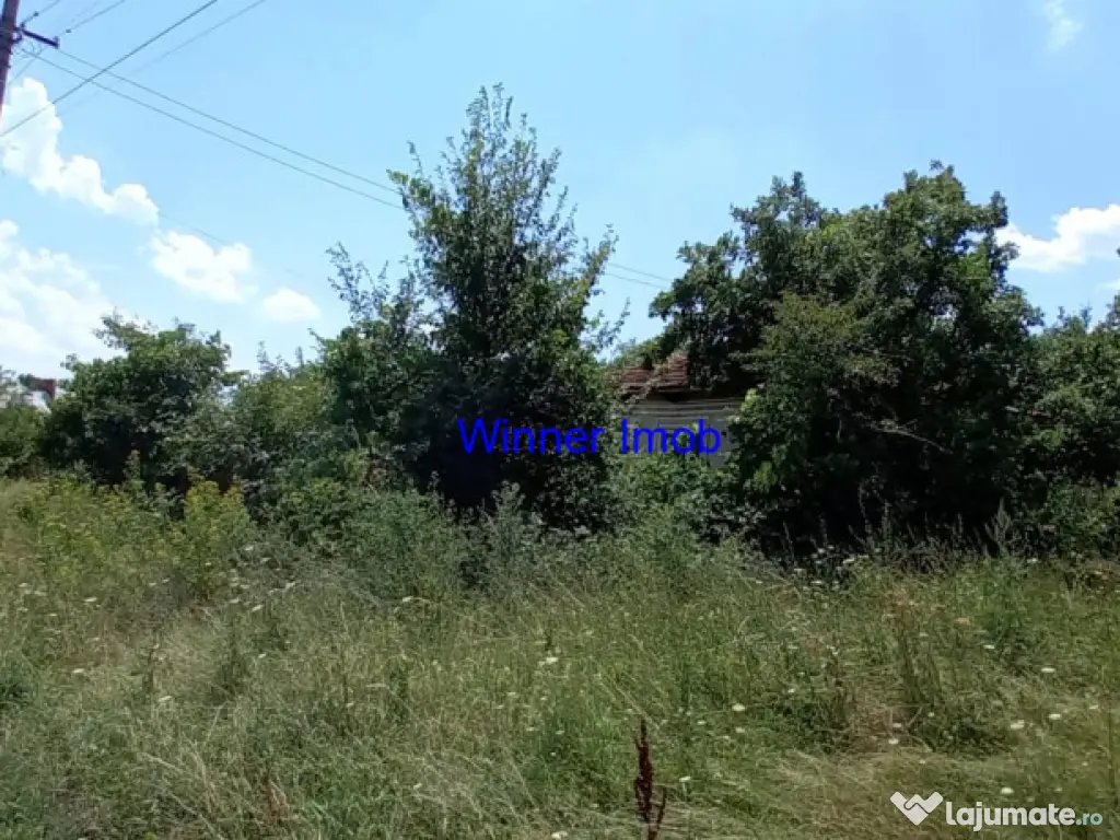 Vanzare Casa Teren UDA Arges