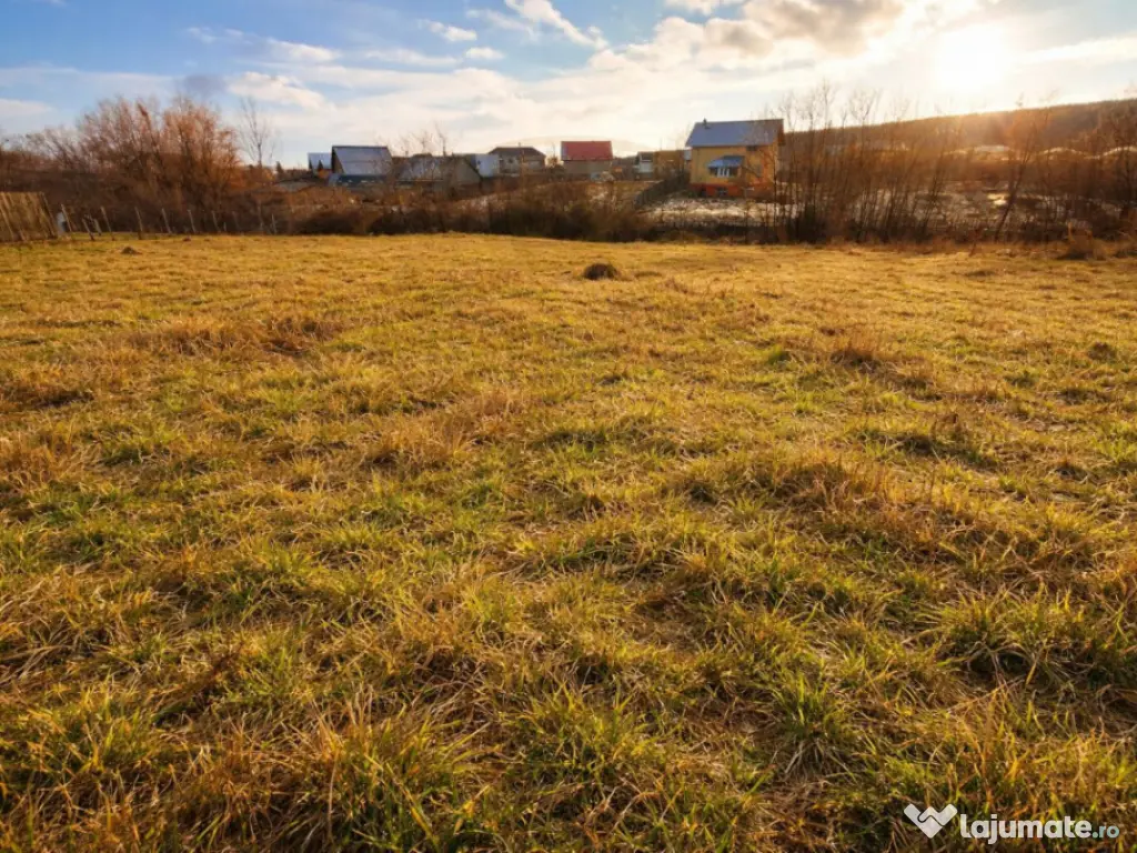 Teren 1262 m2 intravilan sau parcelat Smeura Stoenari Arges