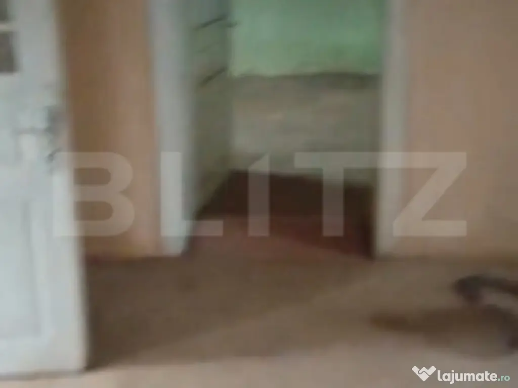 Casa de vanzare, Maieriste