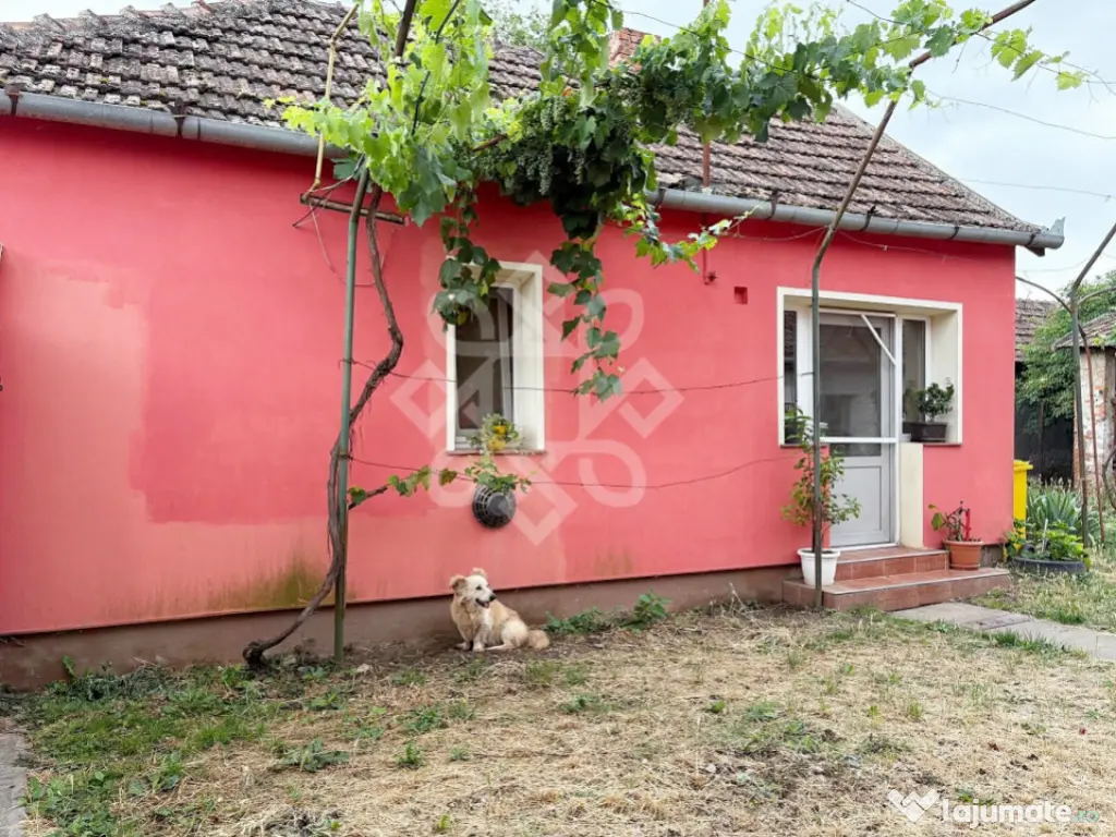 Casa cu teren la 22 km de Oradea, Santaul Mare, Bihor 