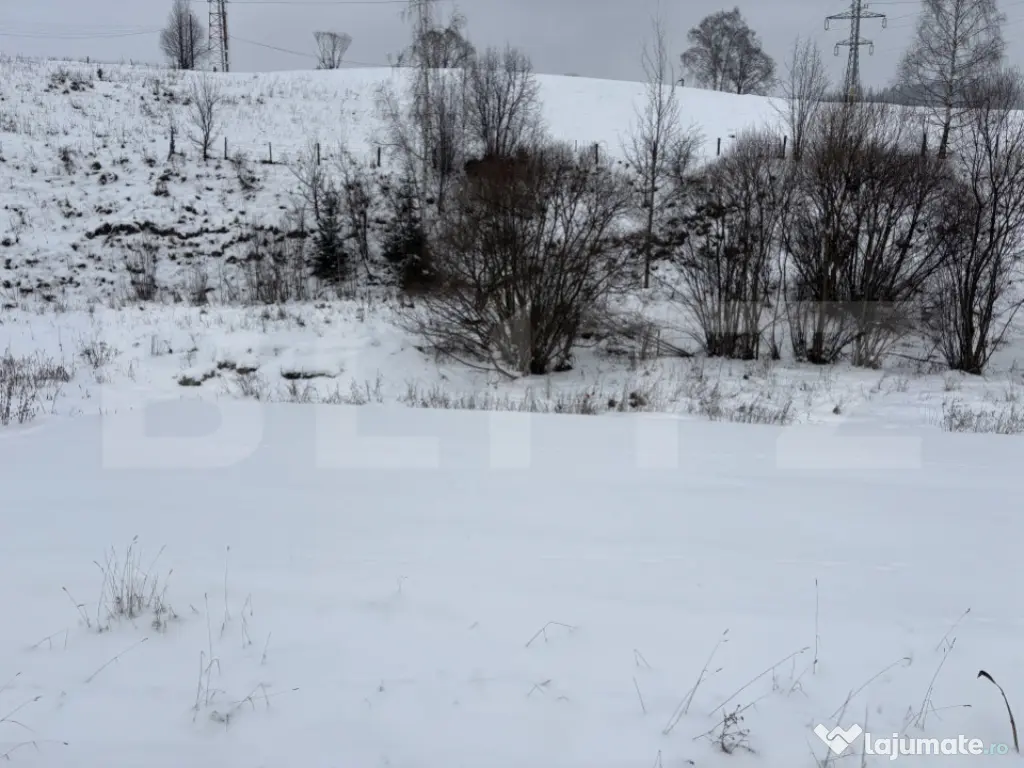 Teren intravilan de vanzare, 8163 mp - Vatra Dornei