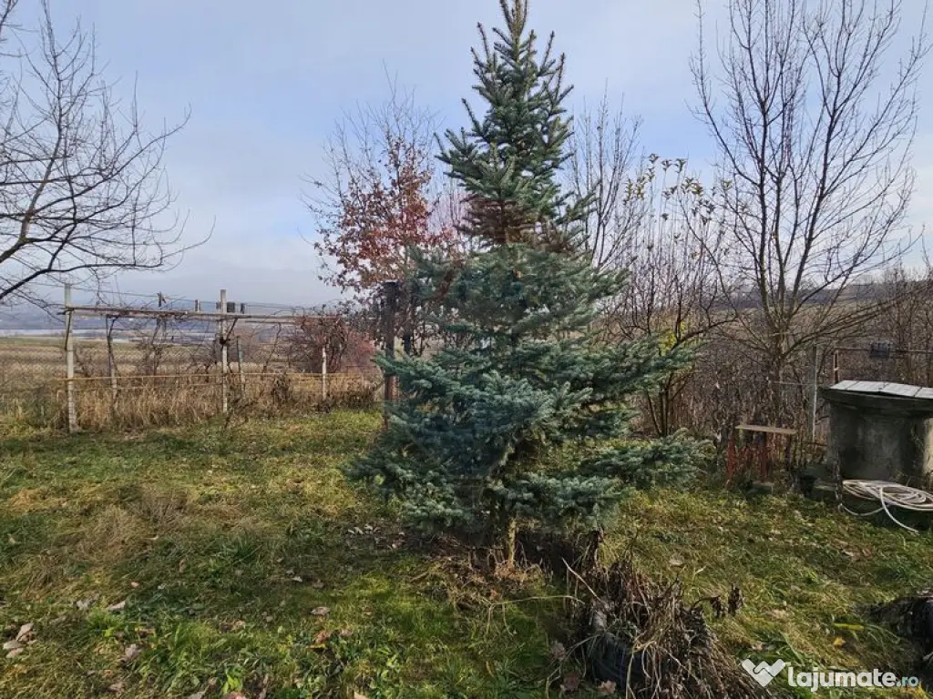 Teren extravilan 10,791mp Falticeni / Strada DJ209A, Opri... 