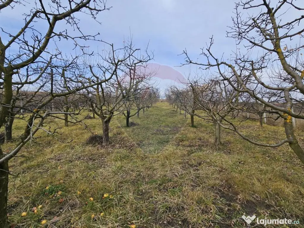 Teren extravilan 10,791mp Falticeni / Strada DJ209A, Opri... 