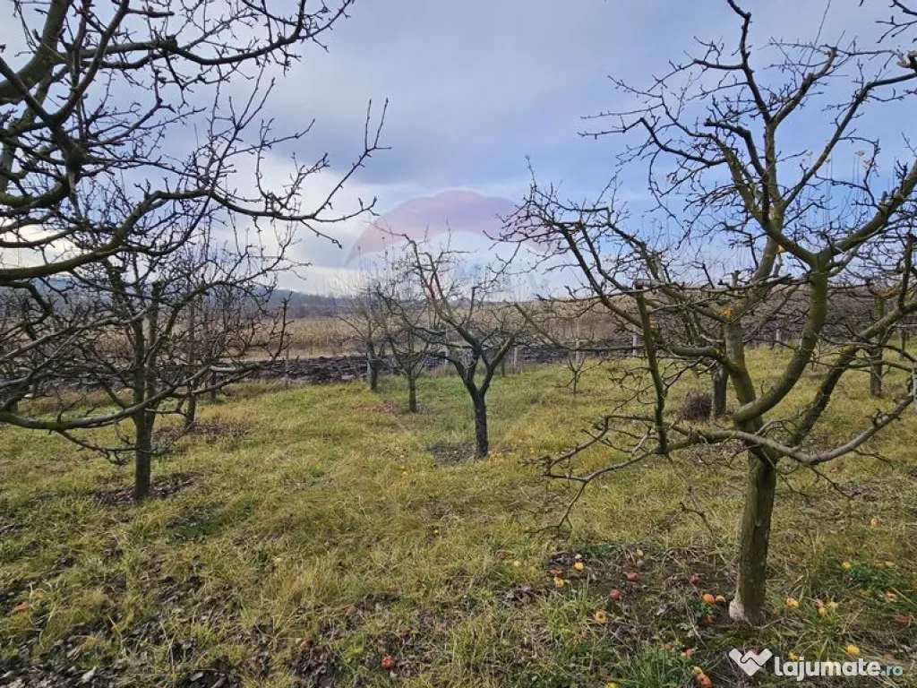 Teren extravilan 10,791mp Falticeni / Strada DJ209A, Opri... 