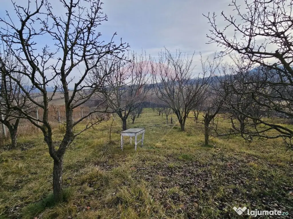 Teren extravilan 10,791mp Falticeni / Strada DJ209A, Opri... 