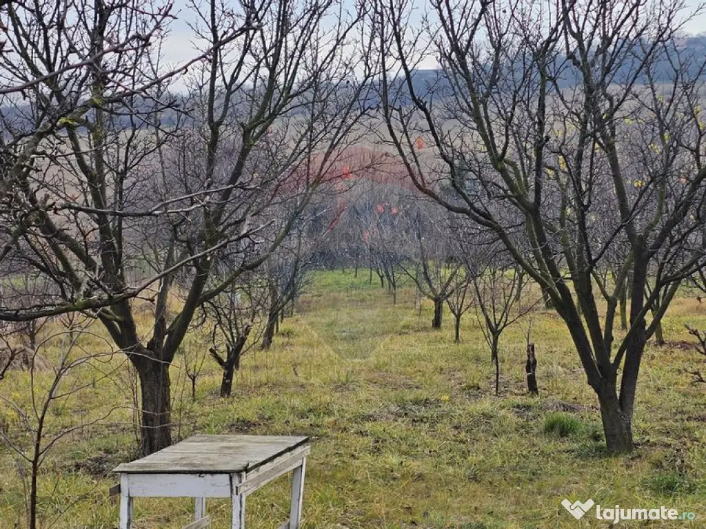 Teren extravilan 10,791mp Falticeni / Strada DJ209A, Opri... 