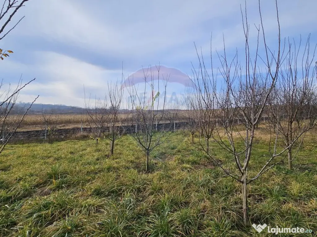 Teren extravilan 10,791mp Falticeni / Strada DJ209A, Opri... 