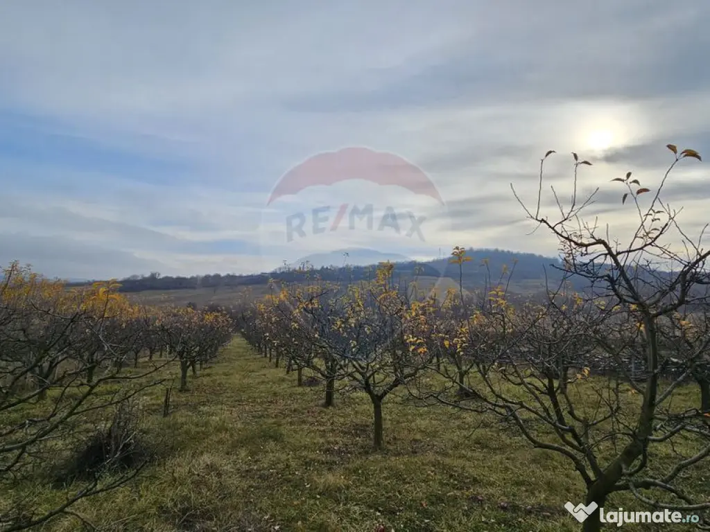 Teren extravilan 10,791mp Falticeni / Strada DJ209A, Opri... 