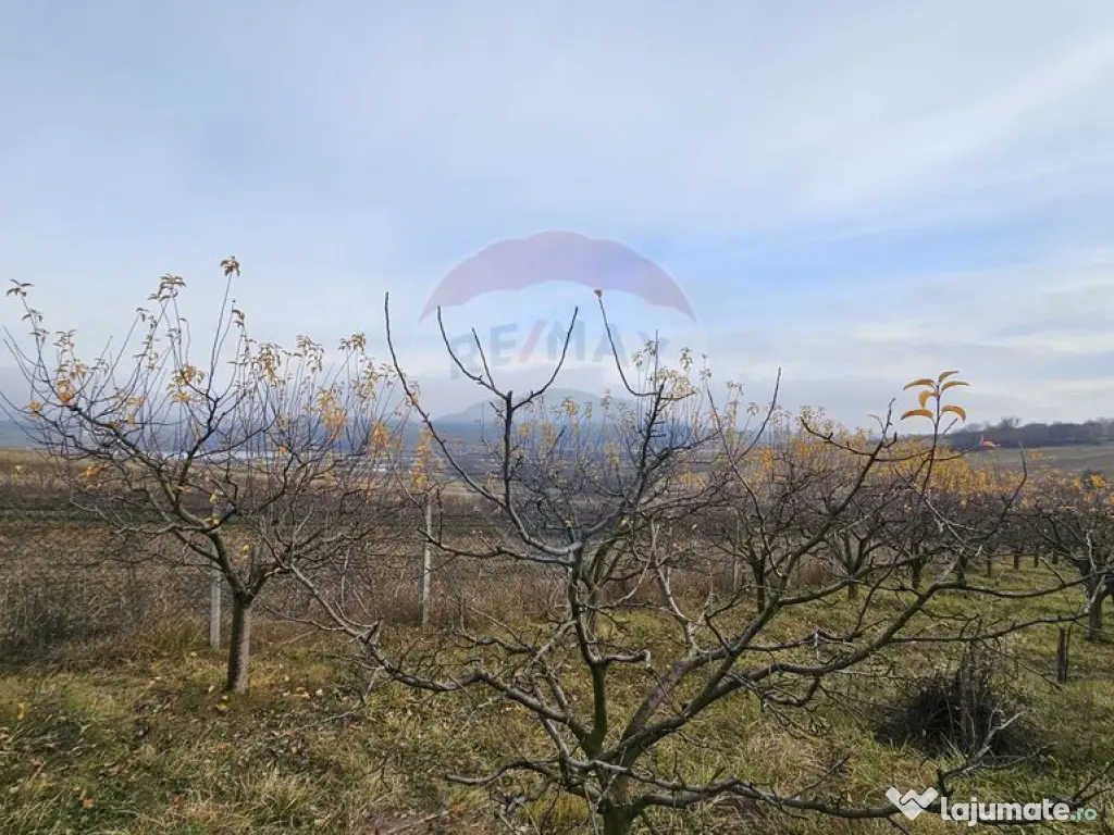 Teren extravilan 10,791mp Falticeni / Strada DJ209A, Opri... 