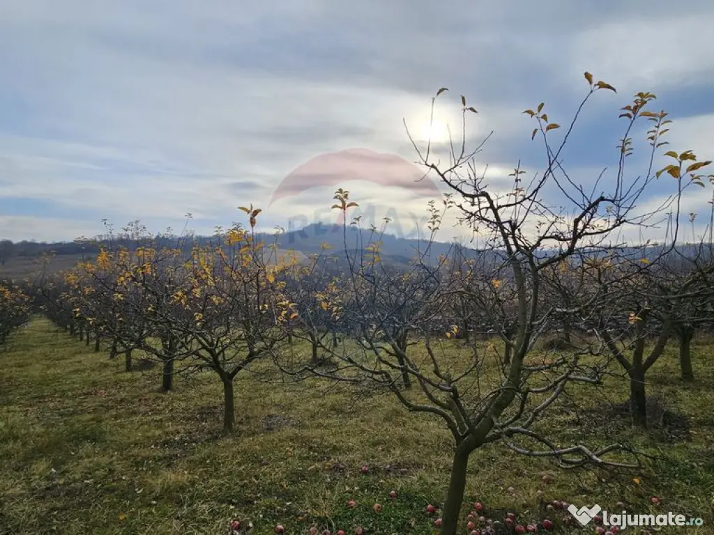 Teren extravilan 10,791mp Falticeni / Strada DJ209A, Opri... 