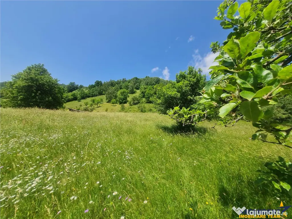 FILM! 1.450 mp intravilan, la DN, incantare peisagistica, Br