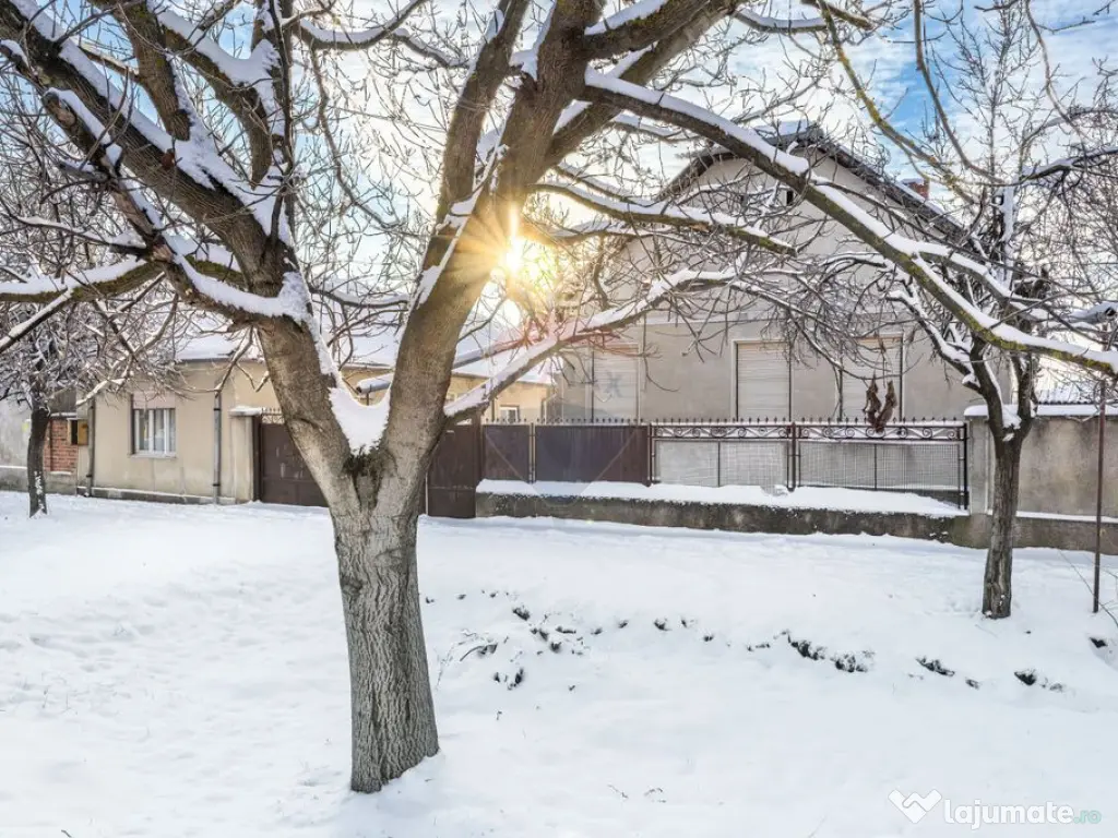 Proprietate cu două case și teren generos, cu toate uti... 