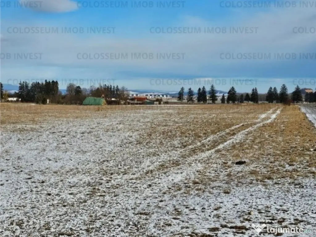 COLOSSEUM: Teren intravilan brasov toate utilitatile zona Cheffler