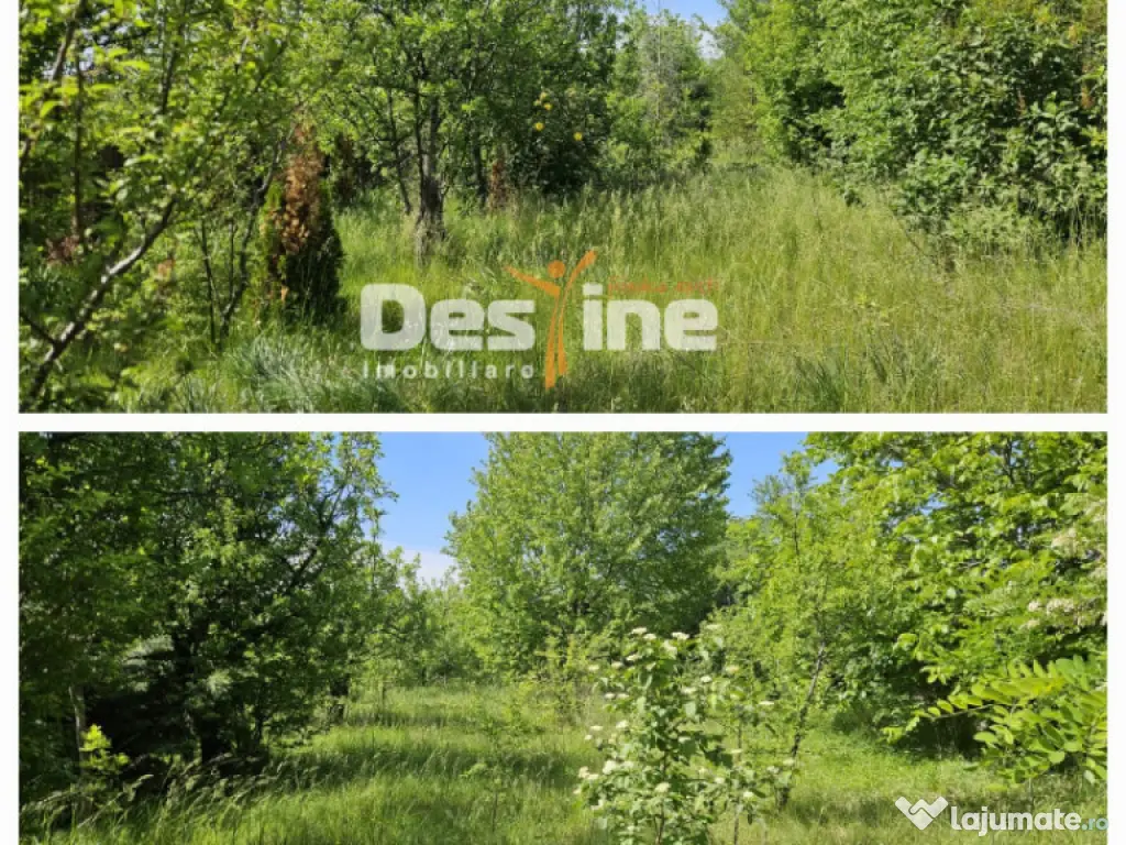 Tomesti-Chicerea, teren intravilan 3523 mp