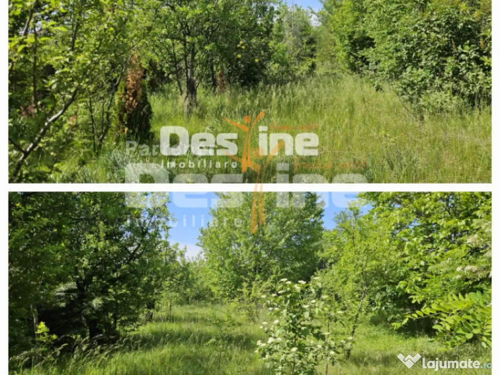 Tomesti-Chicerea, teren intravilan 3523 mp