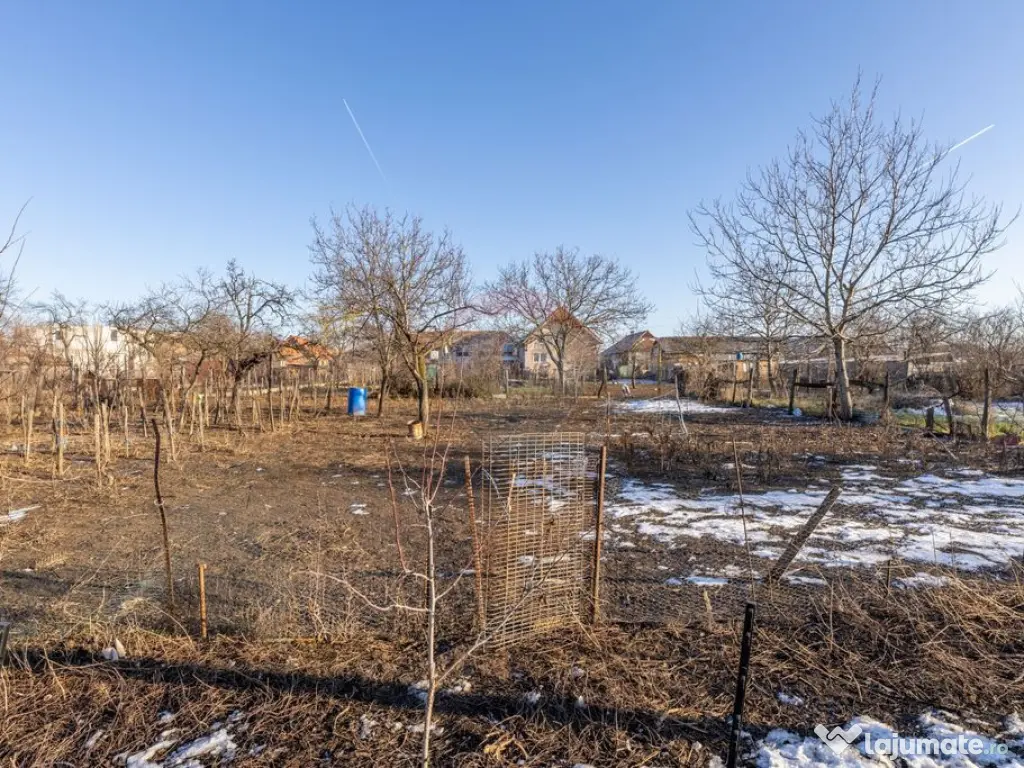 Gospodarie autentică bănățeană, cu teren generos și... 