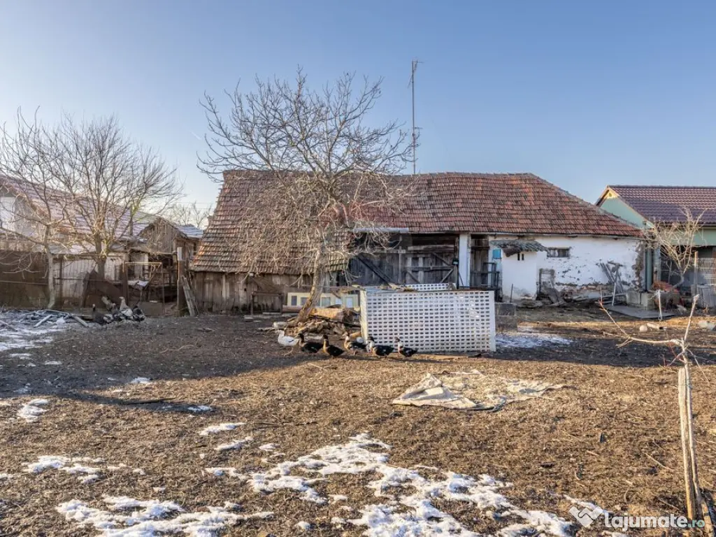 Gospodarie autentică bănățeană, cu teren generos și... 