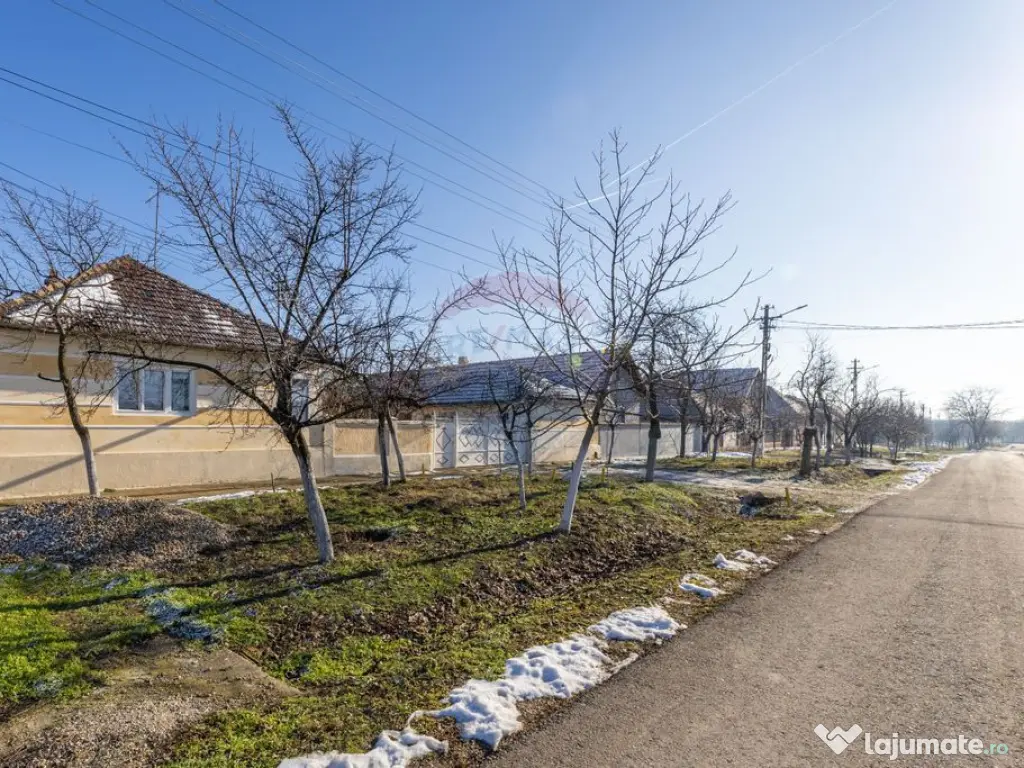 Gospodarie autentică bănățeană, cu teren generos și... 